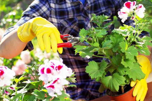 Volunteers sorting garden waste at Gardening Addiscombe facility