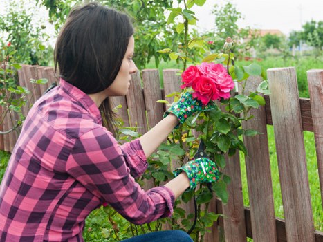 Worker wearing PPE while pruning a shrub