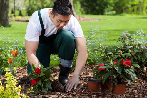 Checklist and paperwork used when assessing a gardening complaint