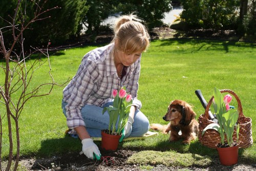 Gardeners tending to a variety of plants in Addiscombe’s lush landscapes.